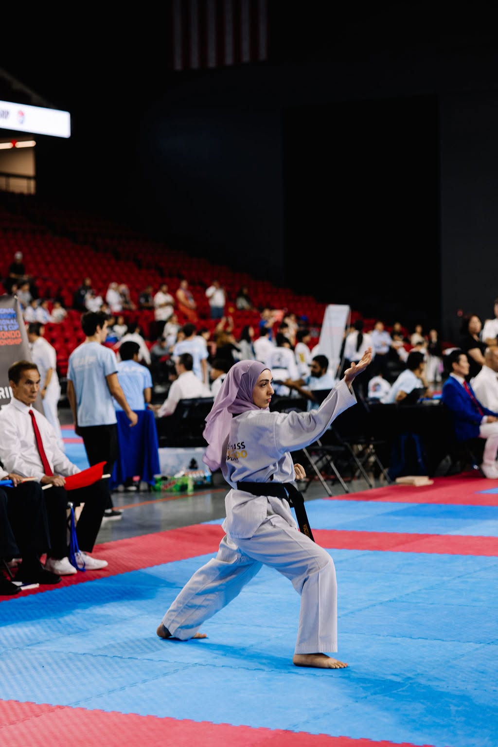 Taekwondo tournament