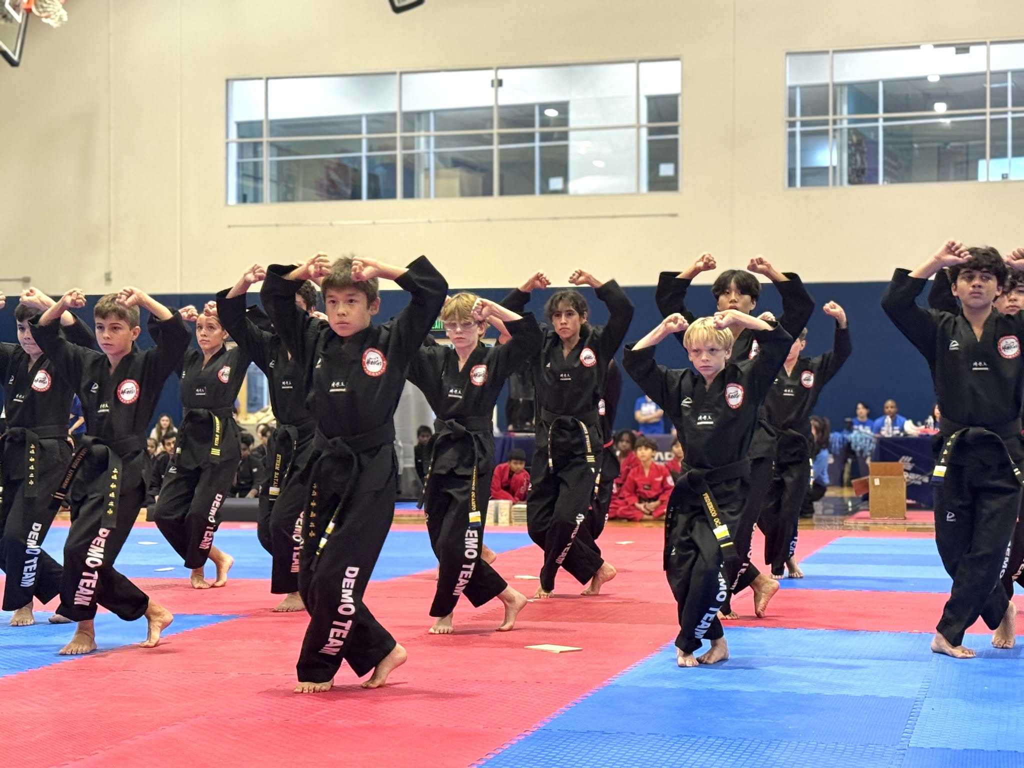 Taekwondo competitors