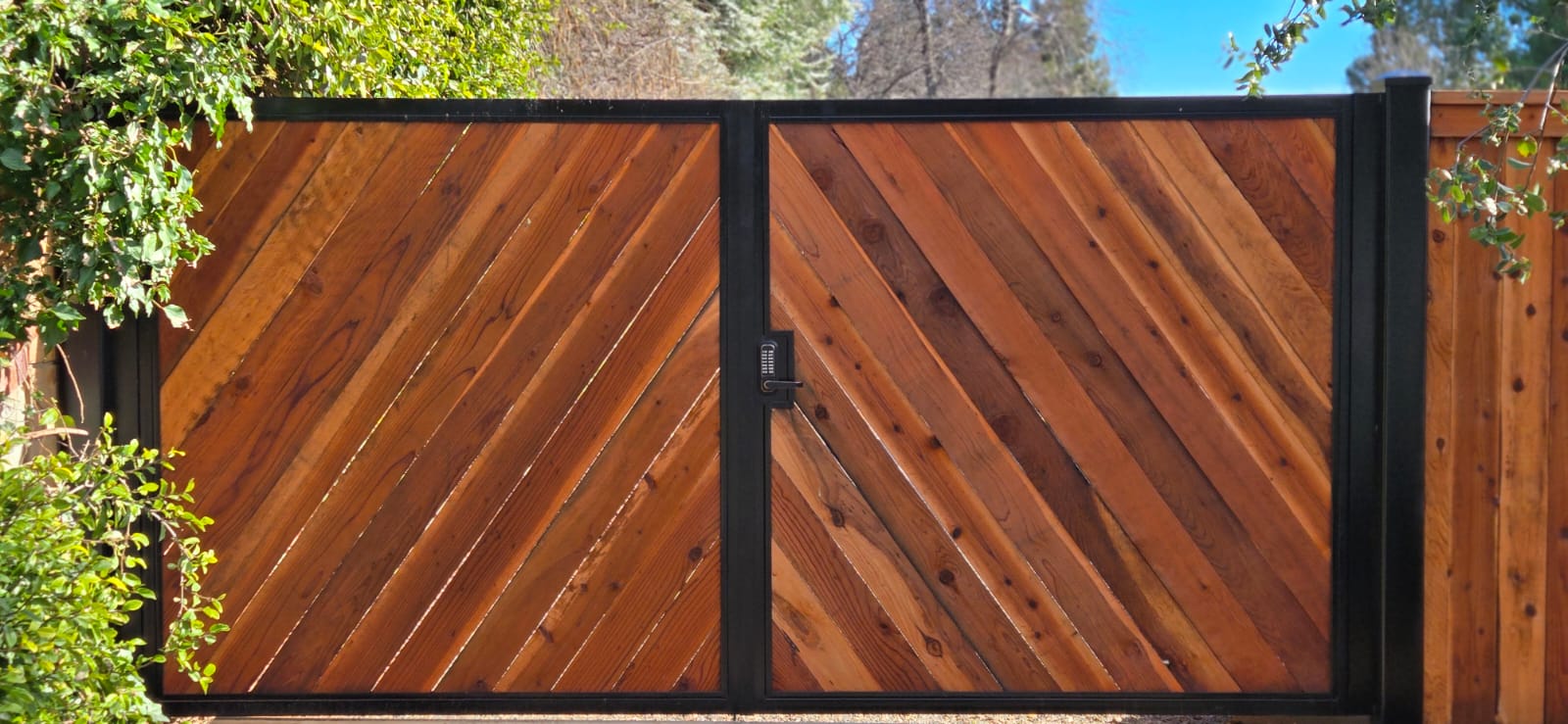 Decorative iron gate