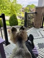 Customer photo