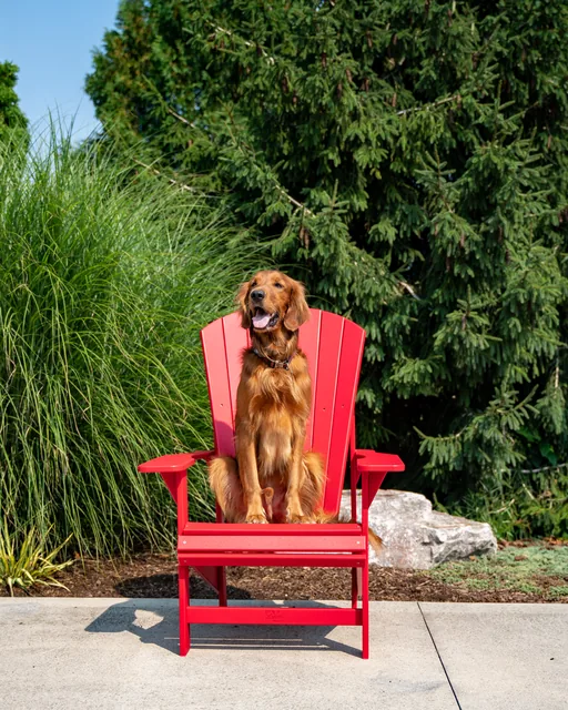Recycled plastic chair