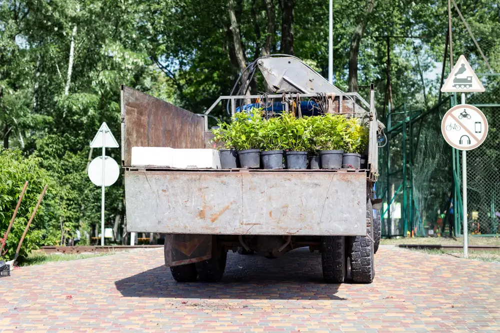  Plant Delivery