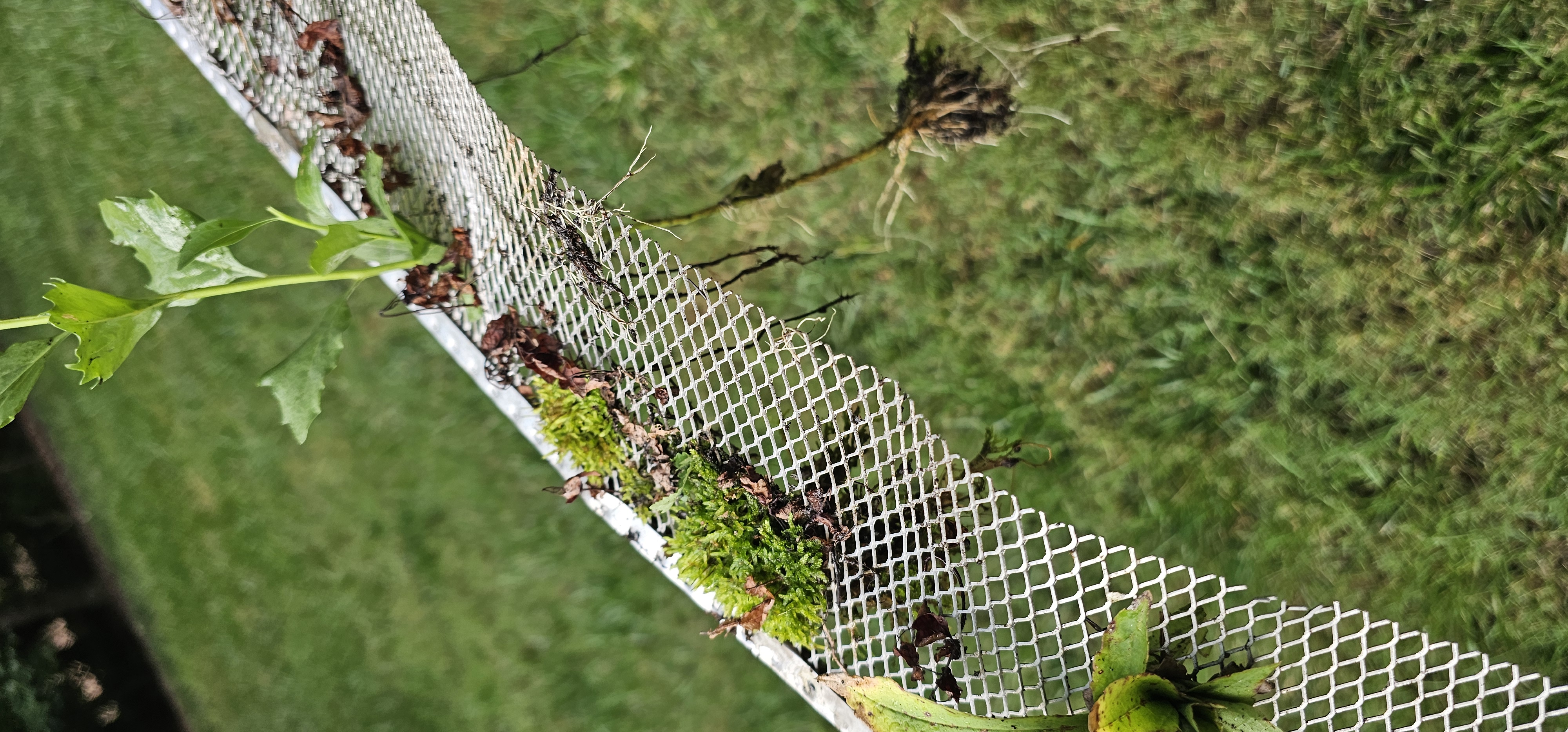 Gutter Guards Service