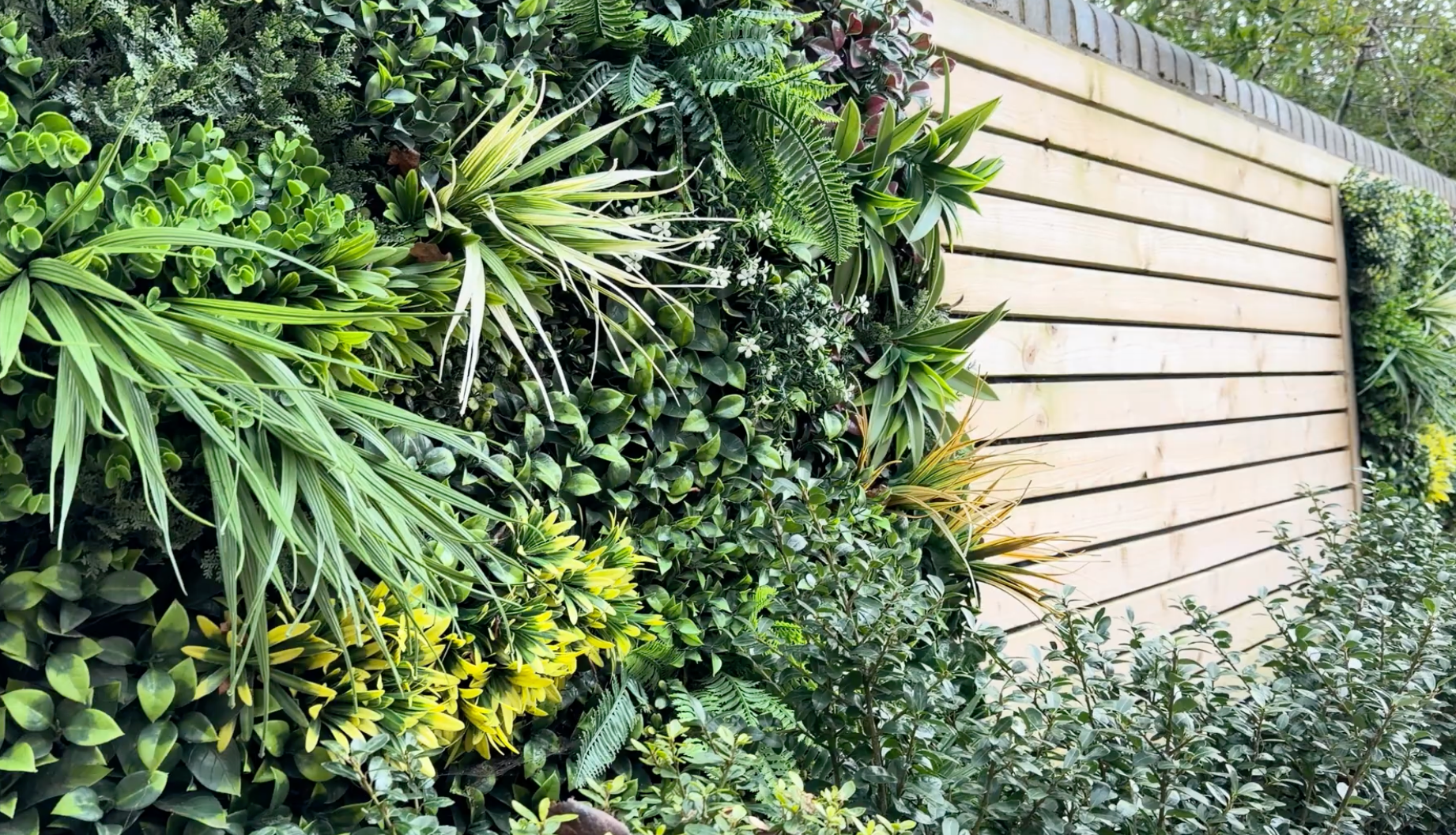 Timber decking and fencing installed in a garden