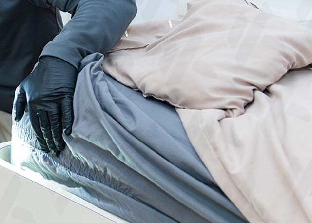 chandler bed bug removal