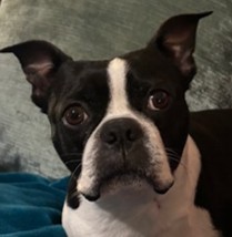 Audrey