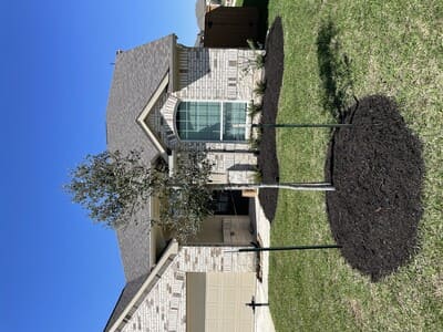 {{ custom_values.service_3 }} in {{custom_values.area_3})