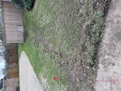 {{ custom_values.service_2 }} in {{custom_values.area_3})