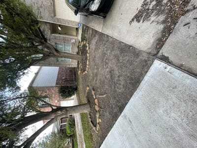 {{ custom_values.service_3 }} in {{custom_values.area_3})