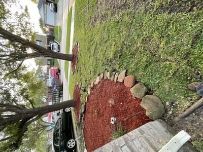 {{ custom_values.service_1 }} in {{custom_values.area_5})