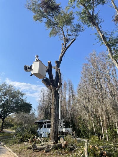 {{ custom_values.service_1 }} in {{custom_values.area_3})