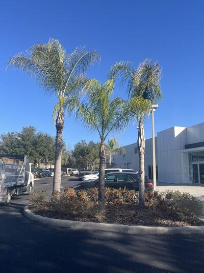 {{ custom_values.service_2 }} in {{custom_values.area_3})