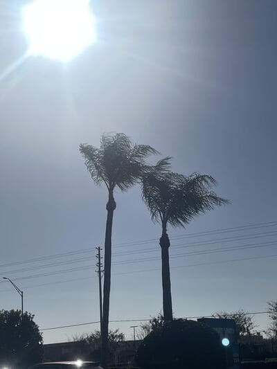 {{ custom_values.service_3 }} in {{custom_values.area_2})