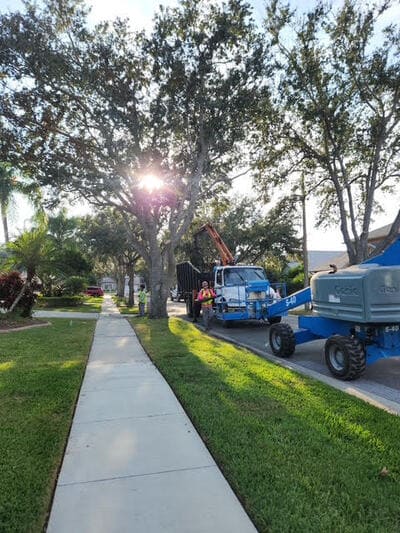 {{ custom_values.service_2 }} in {{custom_values.area_3})