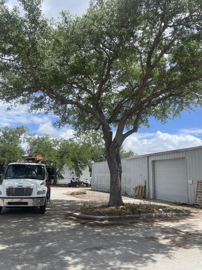  in Hillsborough County, FL