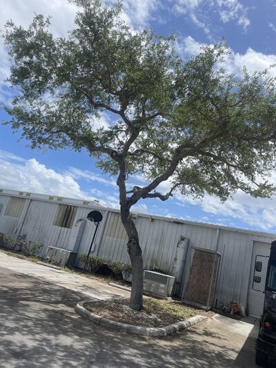 {{ custom_values.service_4 }} in {{custom_values.area_2})