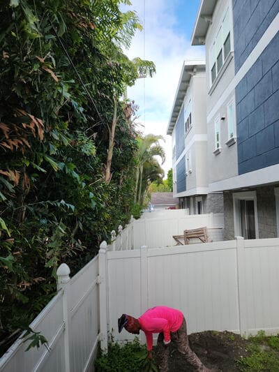 {{ custom_values.service_2 }} in {{custom_values.area_3})