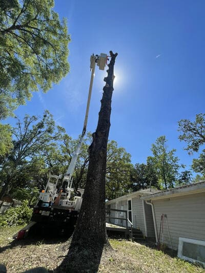 {{ custom_values.service_3 }} in {{custom_values.area_2})