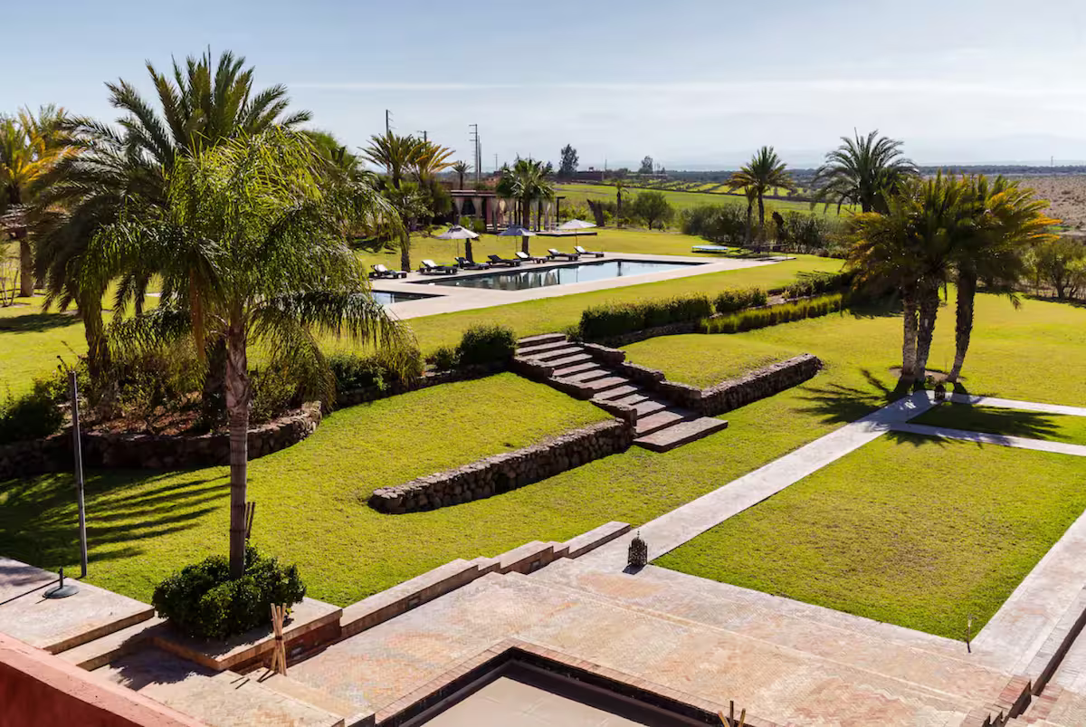 Palm Gardens