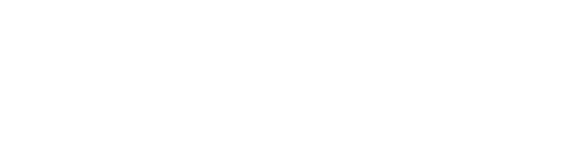 The Directors Hub