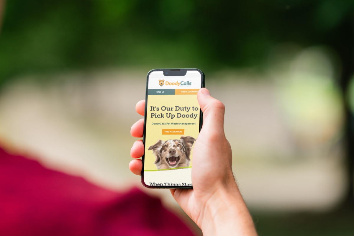 DoodyCalls website shown on a mobile phone