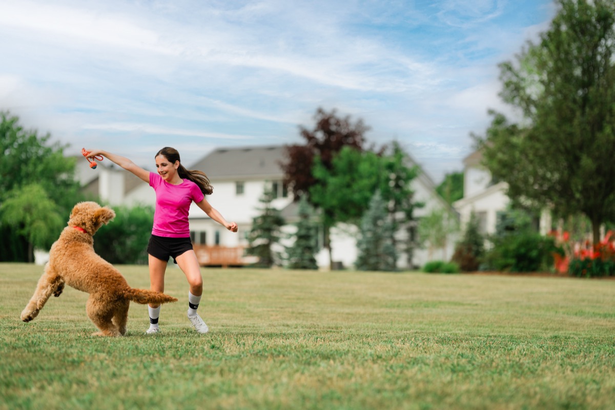 Child playing with a dog in a clean backyard