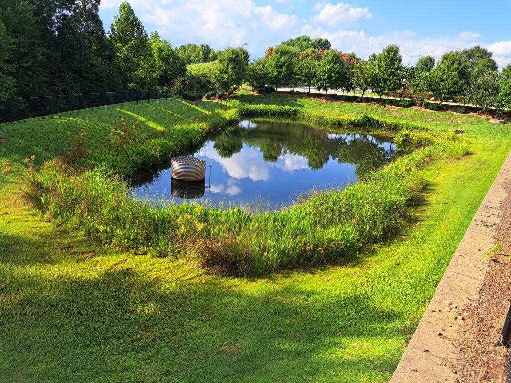 Environmental Consultation in Burlington