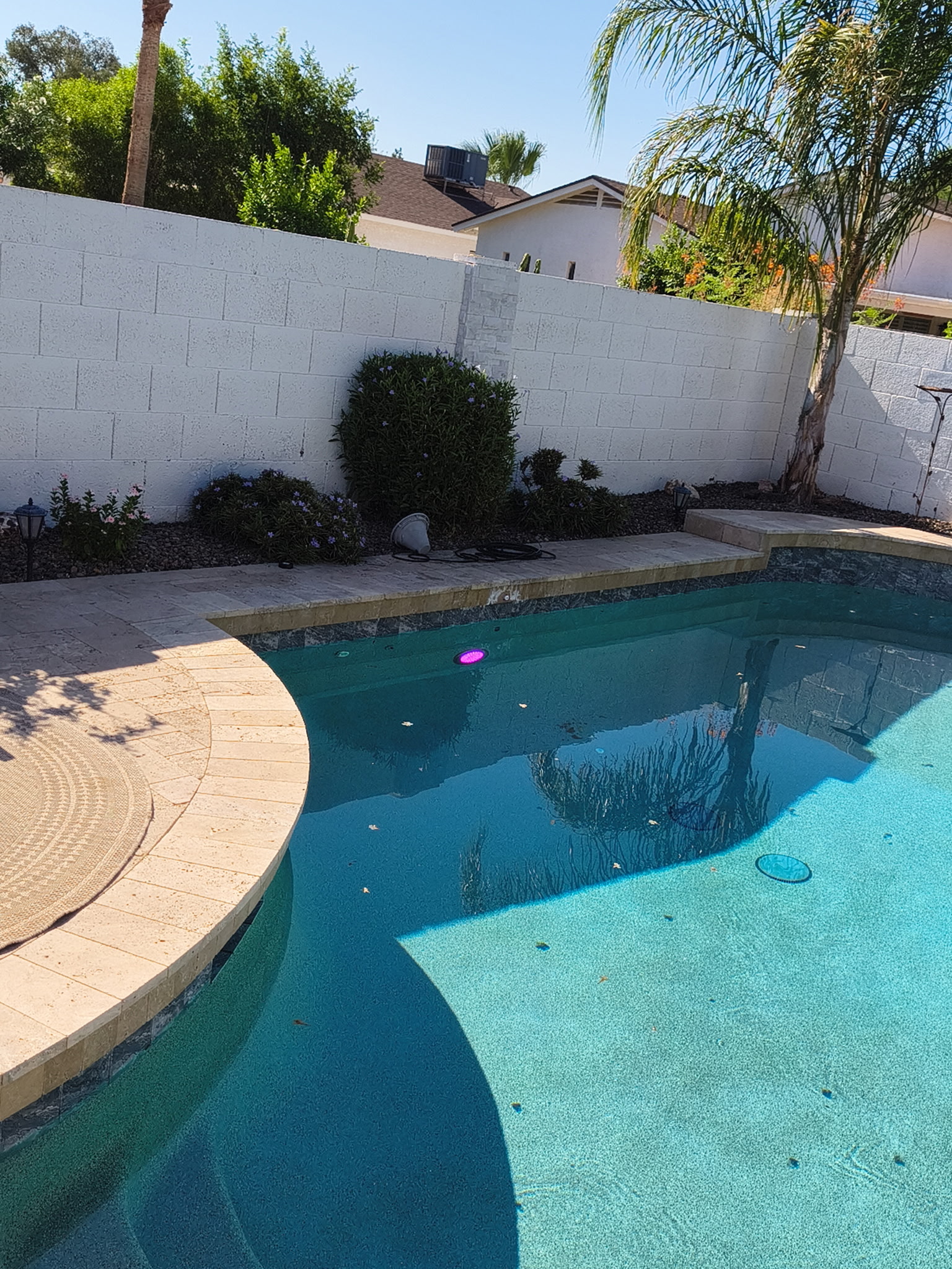 Swim Clean Pool Services team cleaning a Scottsdale backyard pool