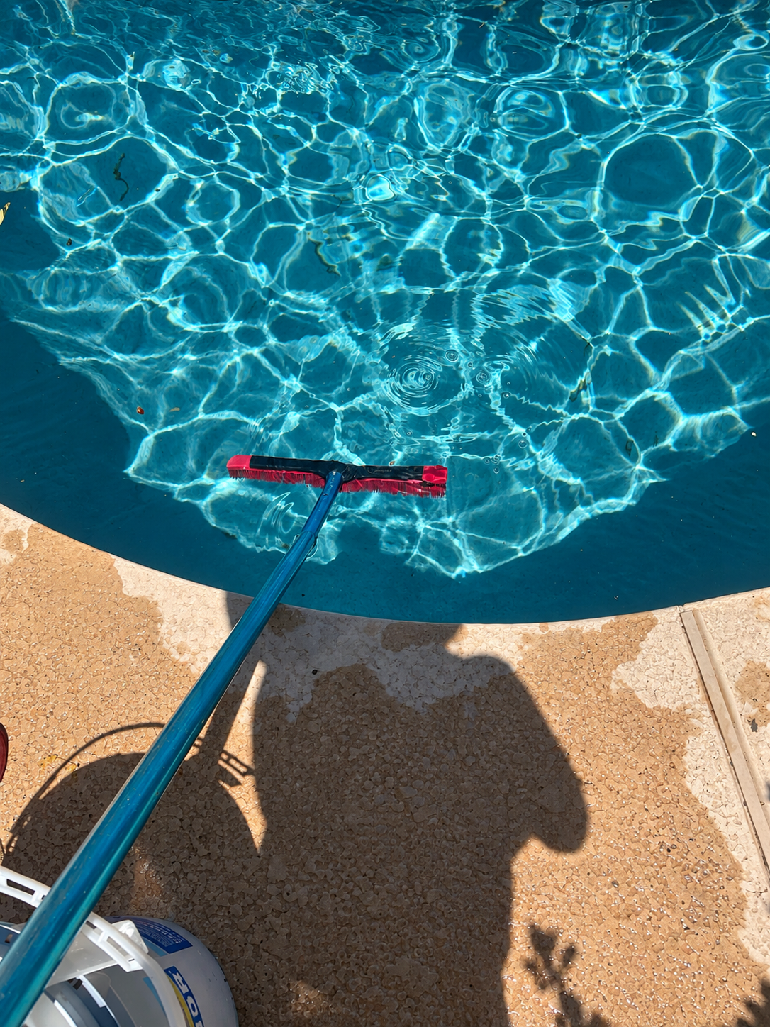 Clean blue backyard pool with landscaping and string lights after weekly pool service in Scottsdale