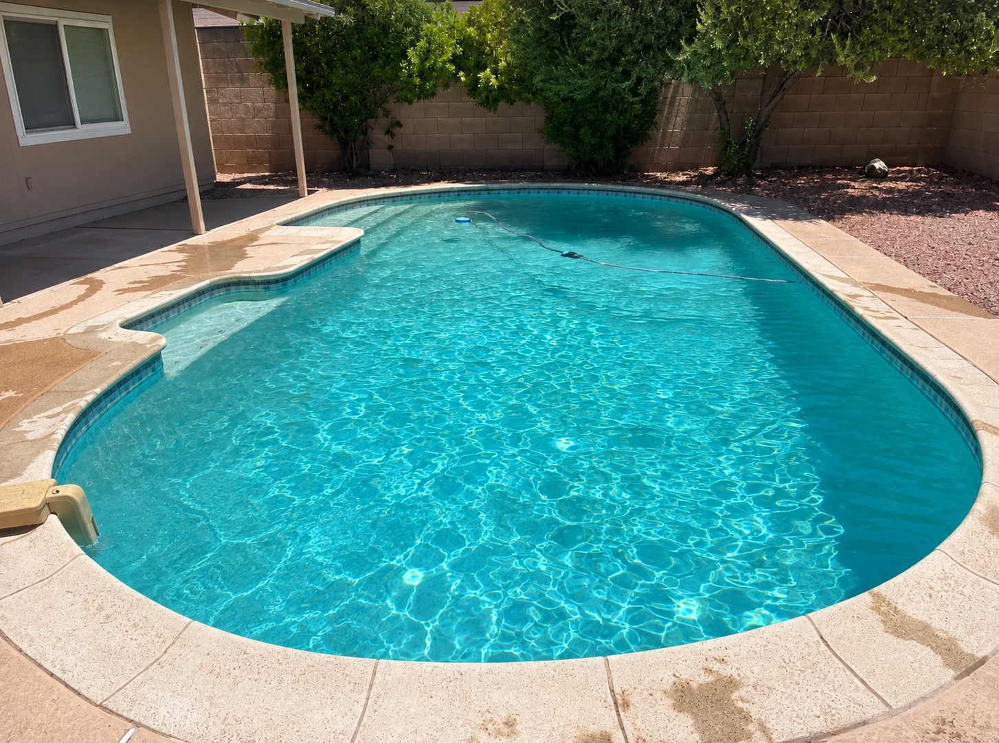 Large pool surrounded by palm trees kept clean and clear by Swim Clean Pool Services