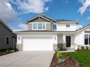 {{ custom_values.service_4 }} in {{custom_values.area_3})