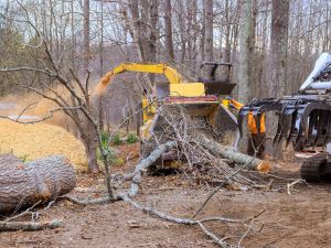 {{ custom_values.service_3 }} in {{custom_values.area_2})