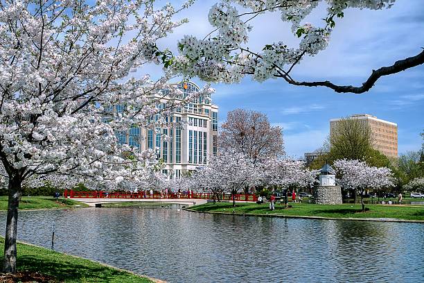 Asphalt Repair & Restoration in Huntsville