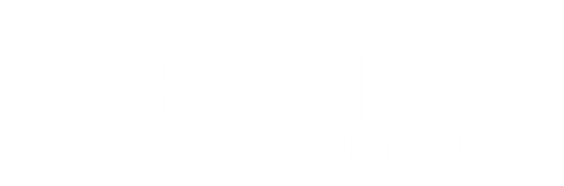 Brainix Institute