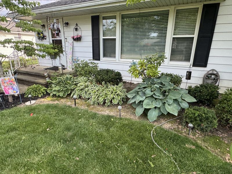 Clean landscape edge after installation