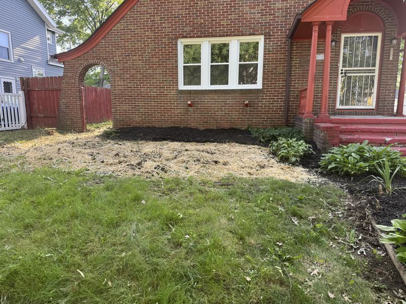 Beds cleared and mulch laid
