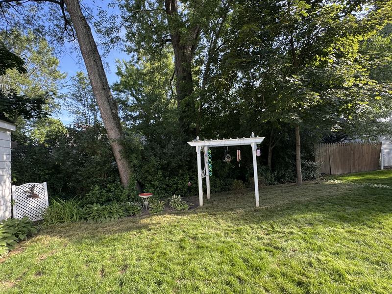 Full green lawn after sod
