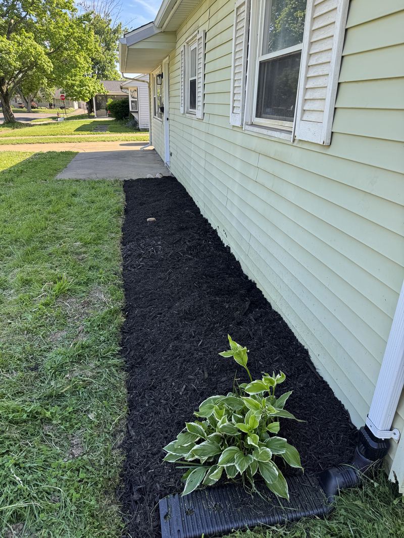Fresh black mulch bed
