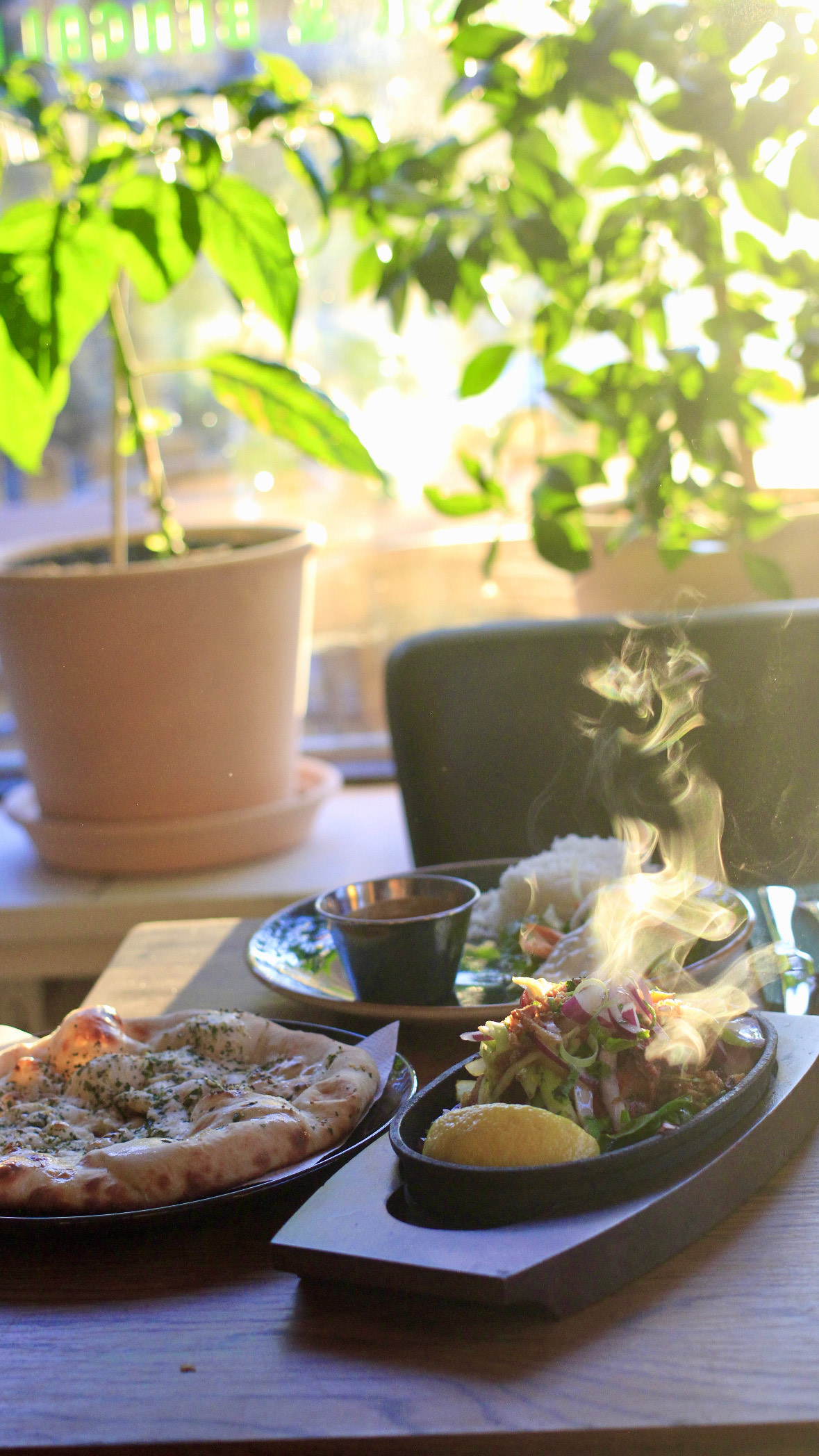 Palak Paneer