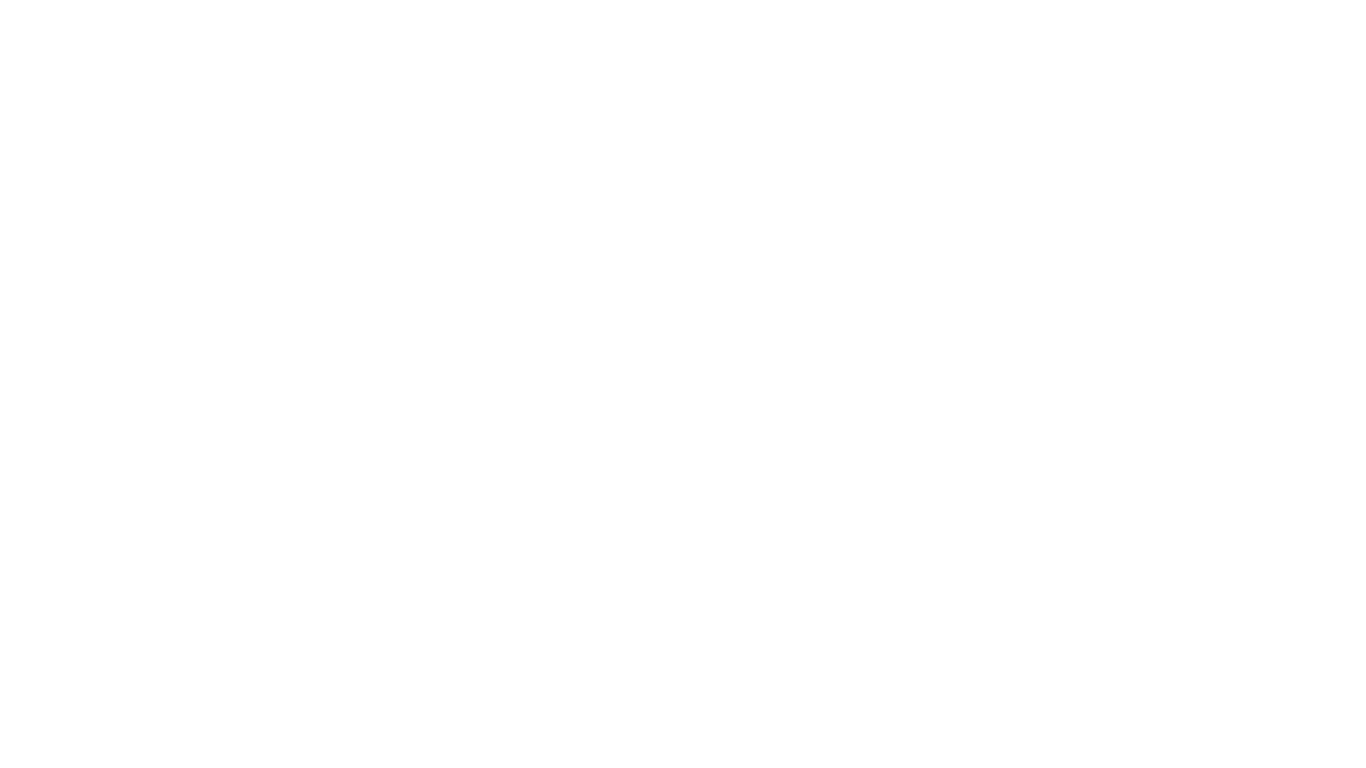 Flipp Burgers Logo