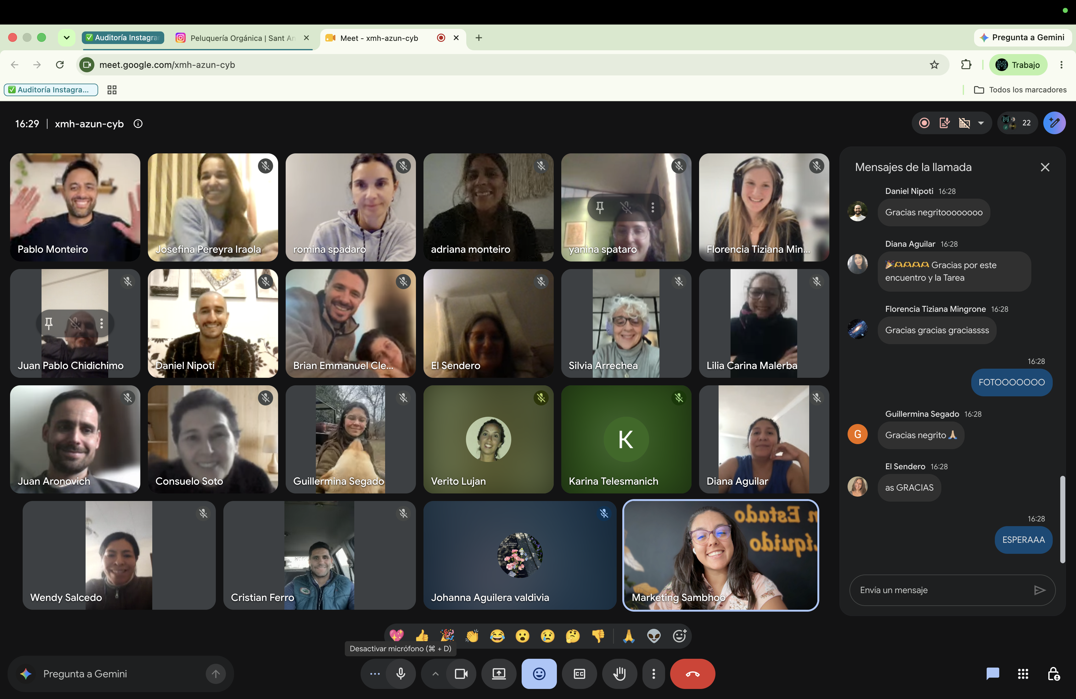Encuentro online en vivo de la comunidad: casi veinte líderes conectados por videollamada