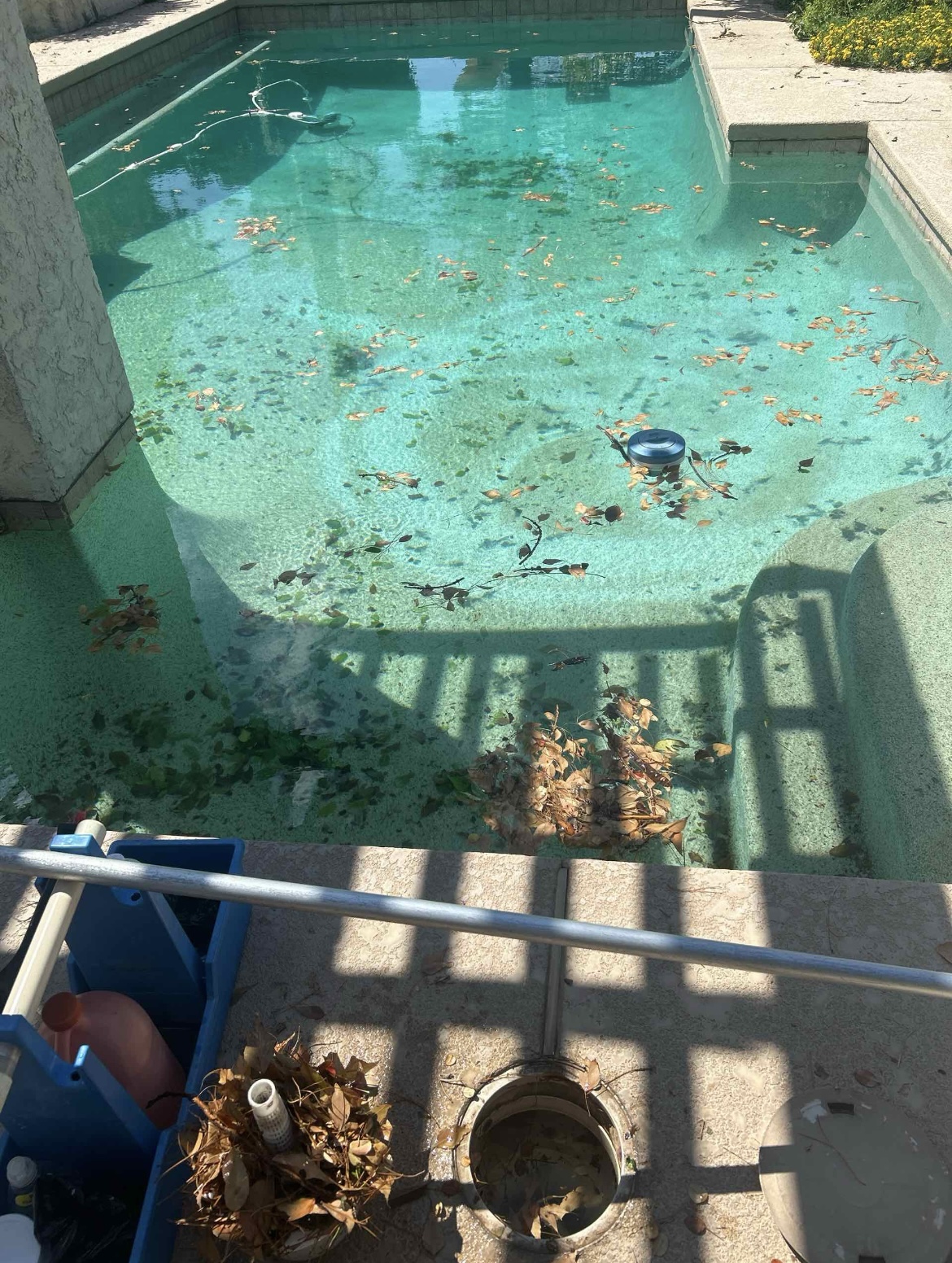 Backyard pool covered in fallen leaves and debris before Drift Pool Co. service