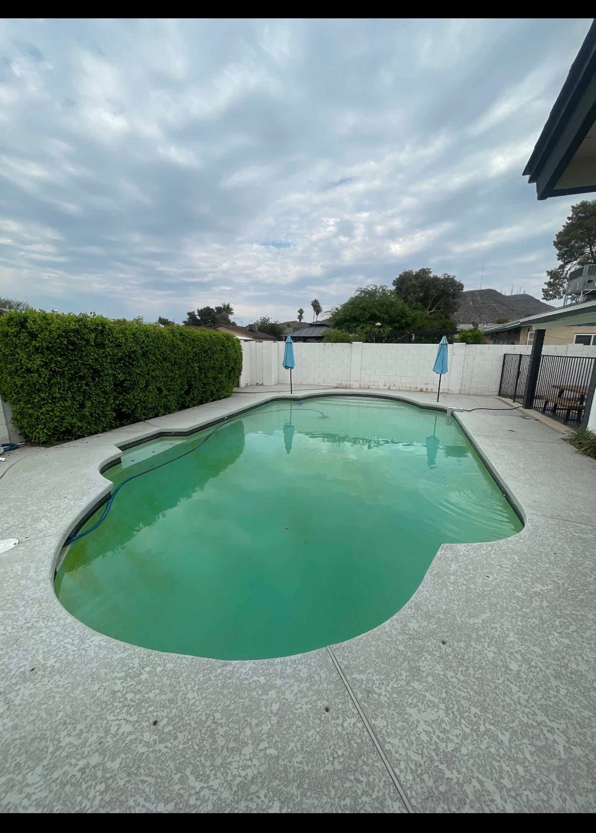 Cloudy green residential pool before Drift Pool Co. service