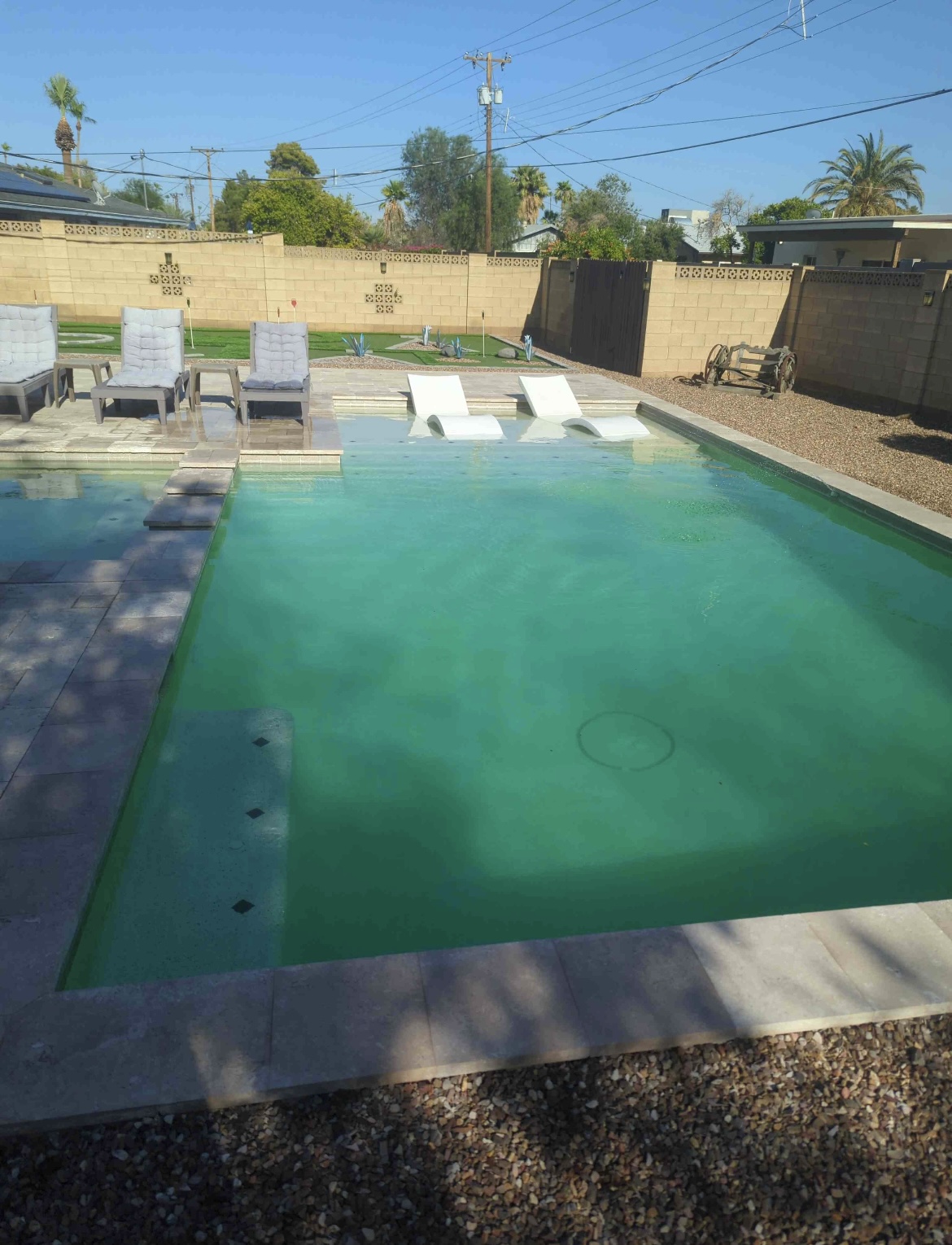 Green, cloudy backyard pool before Drift Pool Co. service