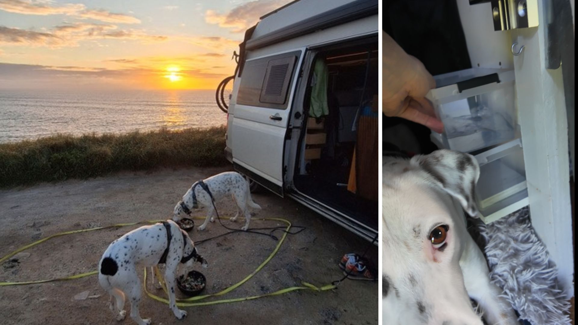 Vanlife mit zwei Hunden am Meer – Mia und Maya vor dem VW T5 Camper und selbst gebaute Wassernapf-Halterung im Van