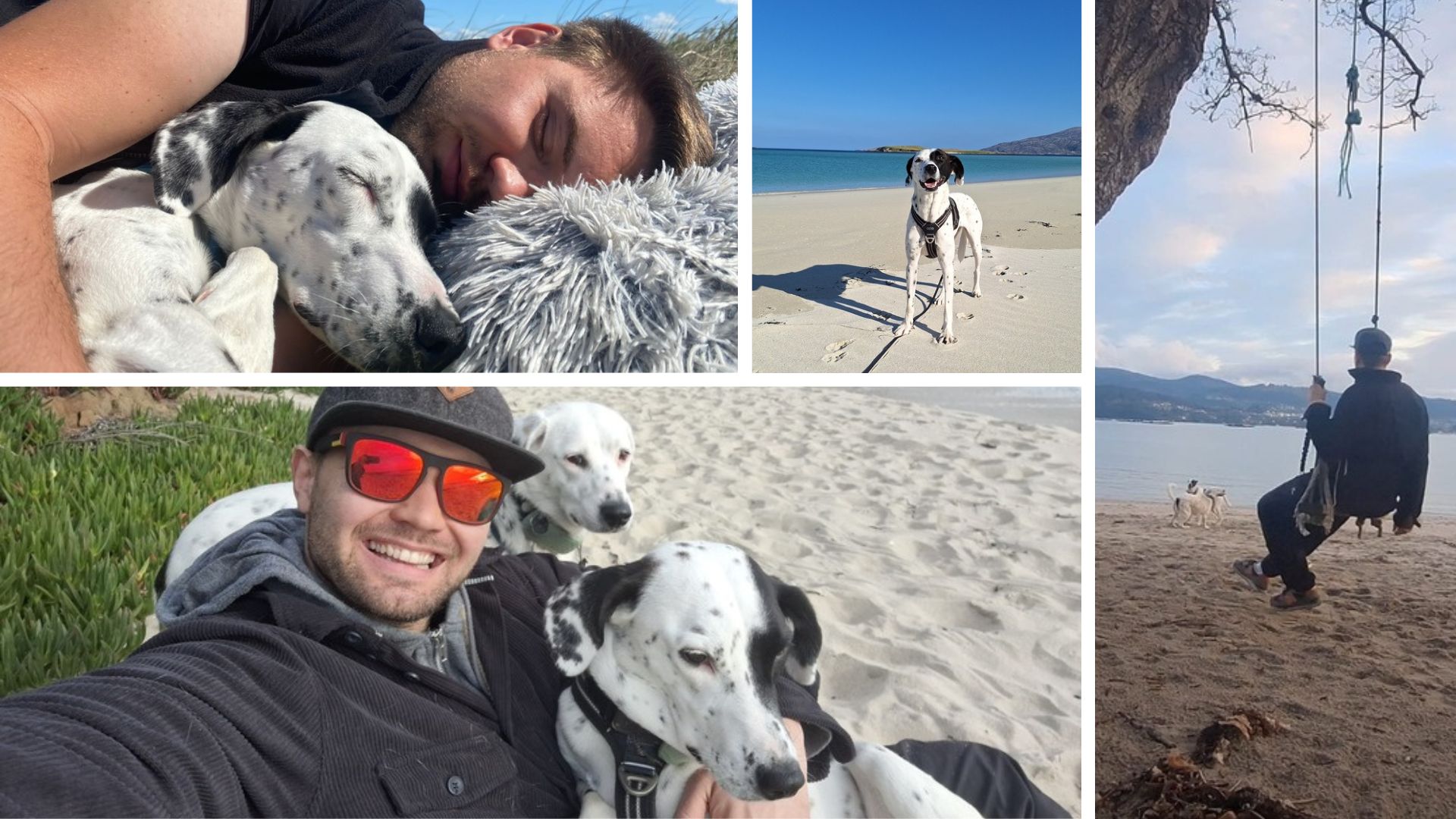 Vanlife mit zwei Hunden – gemeinsame Abenteuer, Ruhe und besondere Momente mit Mia und Maya auf Reisen