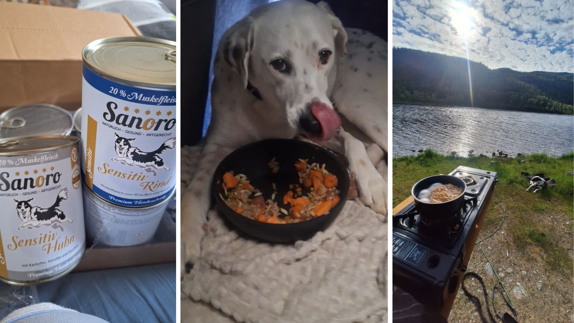 Sanoro Hundefutter für einen Hund mit Leishmaniose – Ernährung von Maya beim Vanlife und Reisen