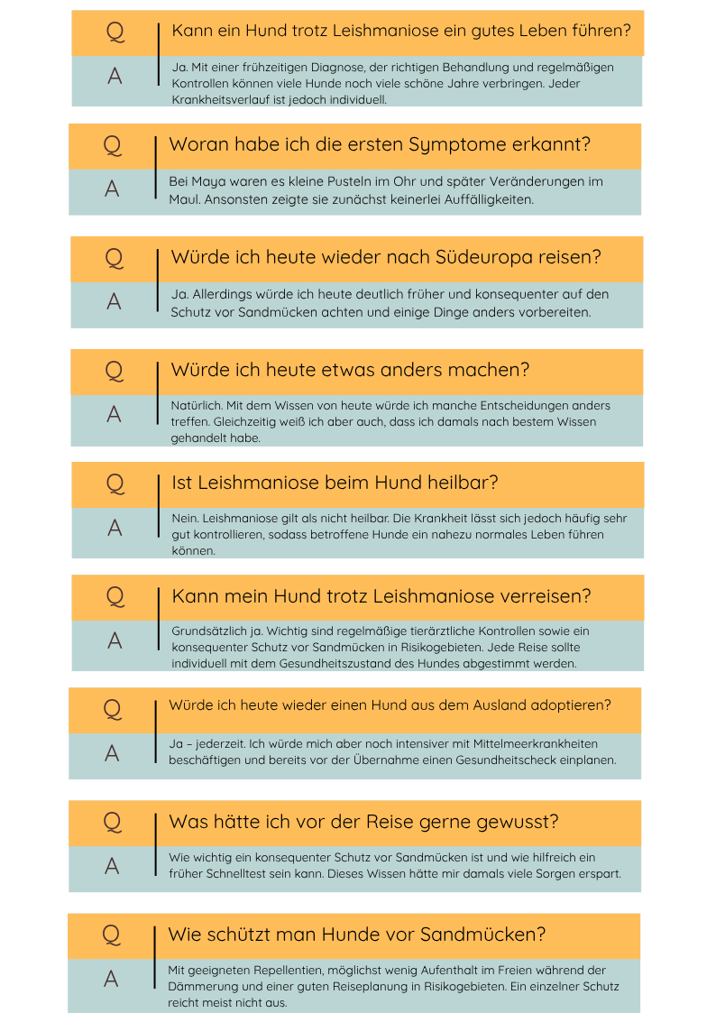 FAQ zur Leishmaniose beim Hund mit Antworten zu Symptomen, Behandlung, Reisen, Diagnose und Erfahrungen aus unserem Vanlife in Portugal.