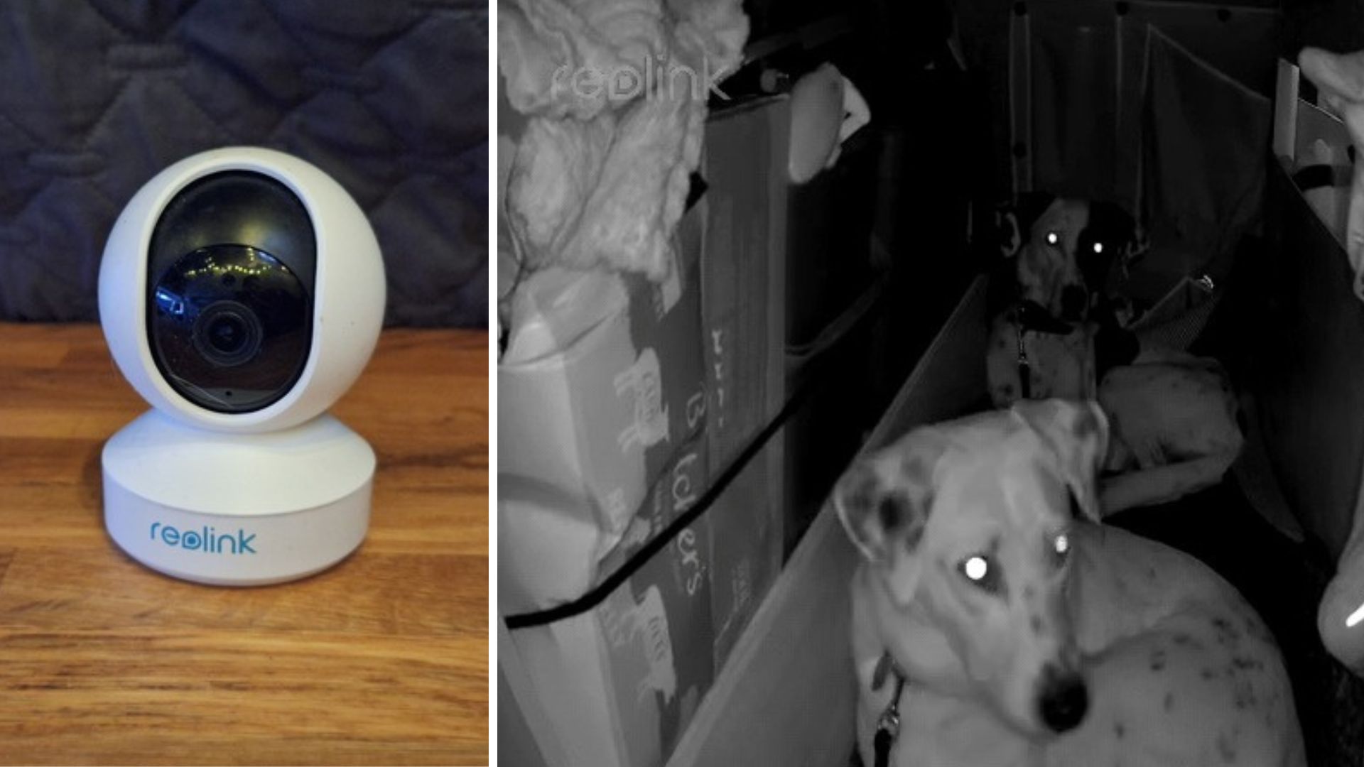 360°-WLAN-Kamera im Camper überwacht Mia und Maya und ermöglicht die Kontrolle des Innenraums während kurzer Abwesenheiten. 360°-WLAN-Kamera im Camper überwacht Mia und Maya und ermöglicht die Kontrolle des Innenraums während kurzer Abwesenheiten.