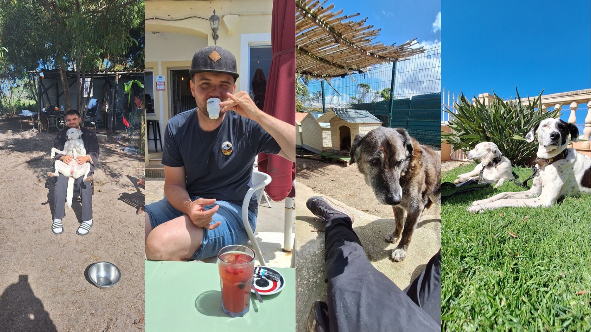 Chris mit Shelter-Hunden bei Mayday Algarve in Portugal. Freiwilligenarbeit im Tierheim, persönliche Begegnungen mit geretteten Hunden und Alltag im Tierschutz an der Algarve.